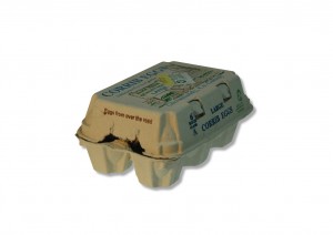 Eggs - from over the road Eggs - from over the road